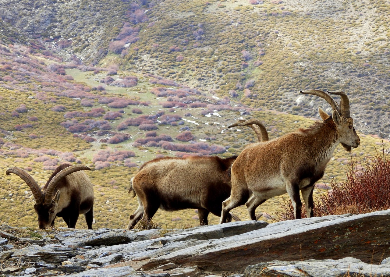 The Quiet Corners of Spain’s Sierra Nevada